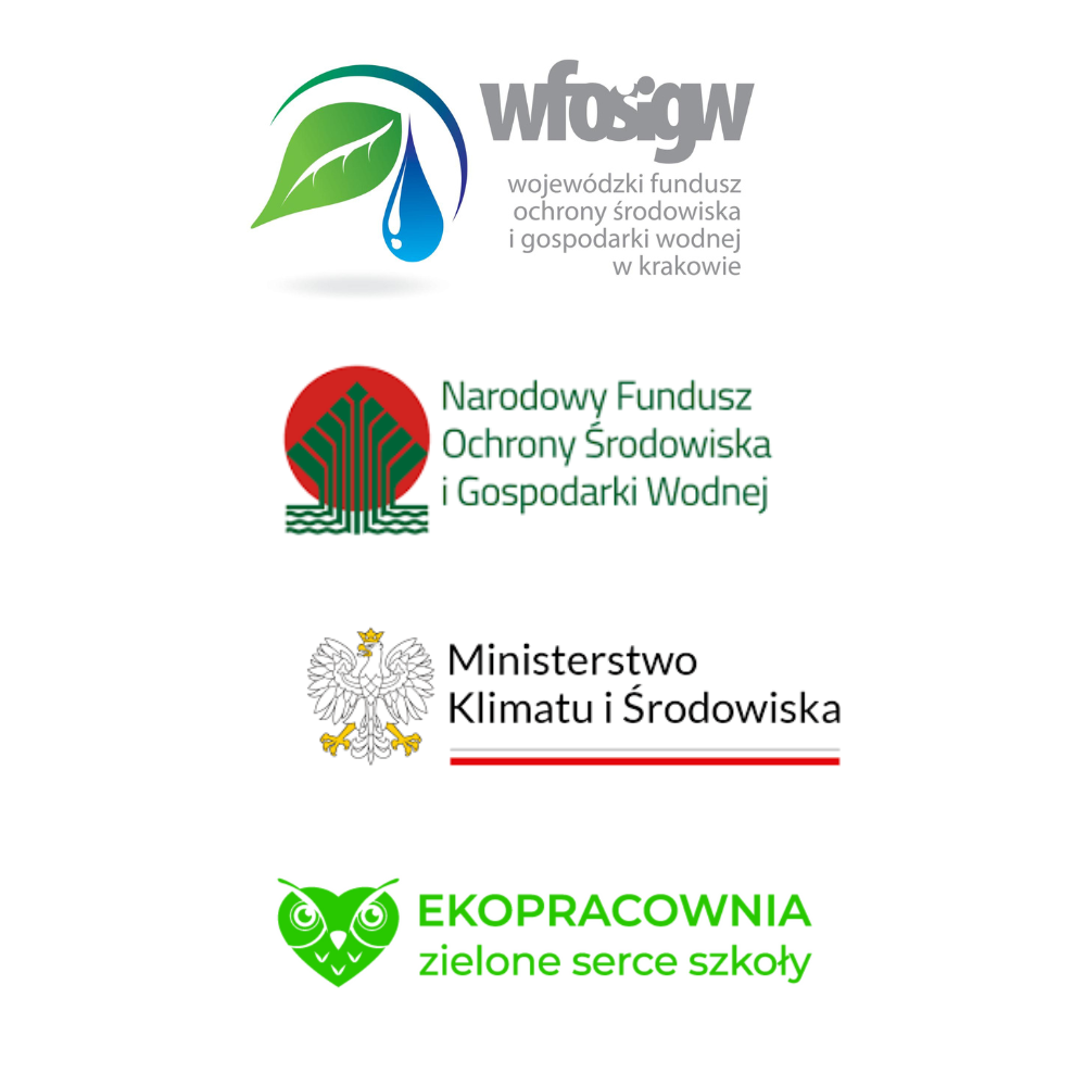 projekt-bez-nazwy.png
