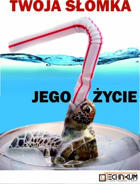 (TY)Dzień Ziemi 2024 w Technikum im. J. Piłsudskiego w Brzesku