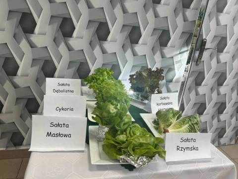 Uczniowie Zespołu Szkół w Czchowie realizowali od września ekoprojekt pod nazwą „Zielono mi” .