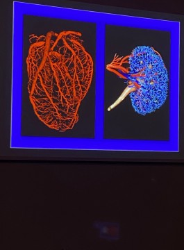 Wizyta uczniów w Muzeum Anatomii Uniwersytetu Jagiellońskiego