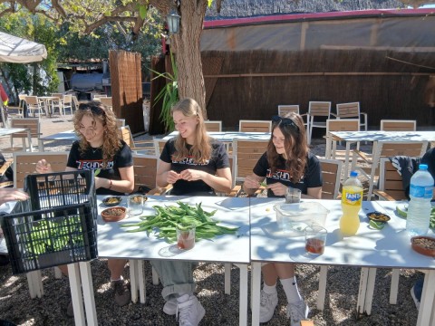 Technikum im. J. Piłsudskiego w Brzesku: Zakończenie praktyk zawodowych w Hiszpanii