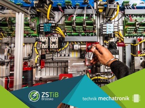 Dlaczego warto wybrać Zielonkę?