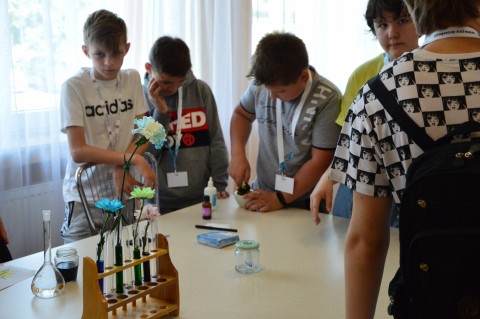 Piknik Naukowy w Powiatowym Centrum Edukacji w Brzesku