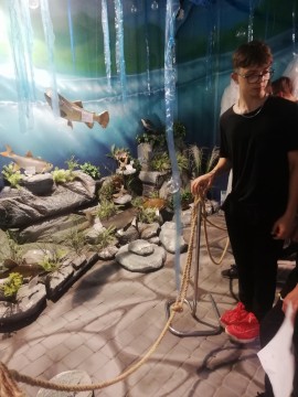 Muzeum w Jaśle i Krzemiennej