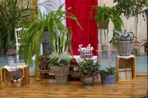 Inauguracja roku szkolnego 2022/2023 w LO im. M. Kopernika w Brzesku