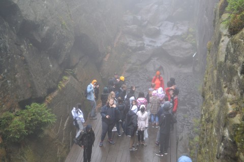 „Mimozami jesień się zaczyna, złotawa ciepła i miła.. , a my – szkolna ekipa pod wezwaniem „Pomidorowa” wyruszyliśmy w poszukiwaniu przygód.