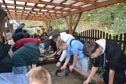 „Mimozami jesień się zaczyna, złotawa ciepła i miła.. , a my – szkolna ekipa pod wezwaniem „Pomidorowa” wyruszyliśmy w poszukiwaniu przygód.