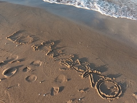 „Kopernik" na Uniwersytecie Gdańskim