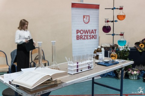 Święto Edukacji w Powiecie Brzeskim