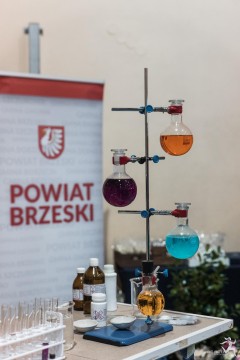 Święto Edukacji w Powiecie Brzeskim