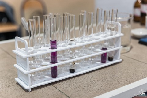 Święto Edukacji w Powiecie Brzeskim