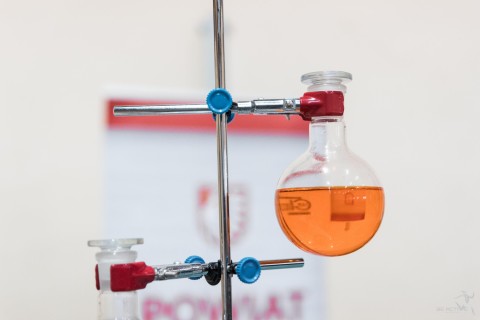 Święto Edukacji w Powiecie Brzeskim