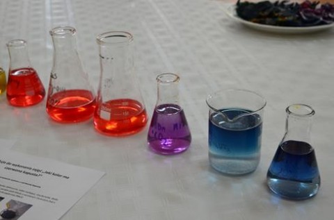 MChE w Zespole Szkół w Czchowie