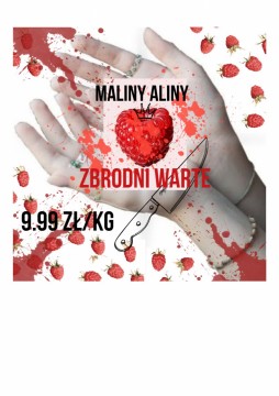 Tam, gdzie pasja spotyka wiedzę – innowacje na lekcjach w Technikum im. Józefa Piłsudskiego w Brzesku