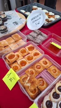 Technikum im. J. Piłsudskiego w Brzesku: Kiermasz na rzecz schroniska w Borku