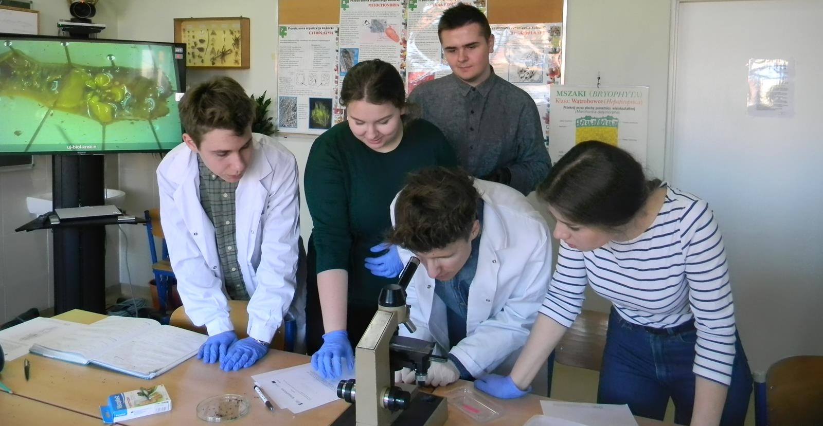 Zajęcia on-line z biologii w ramach projektu  „Małopolska Chmura Edukacyjna – przedmioty ogólne”