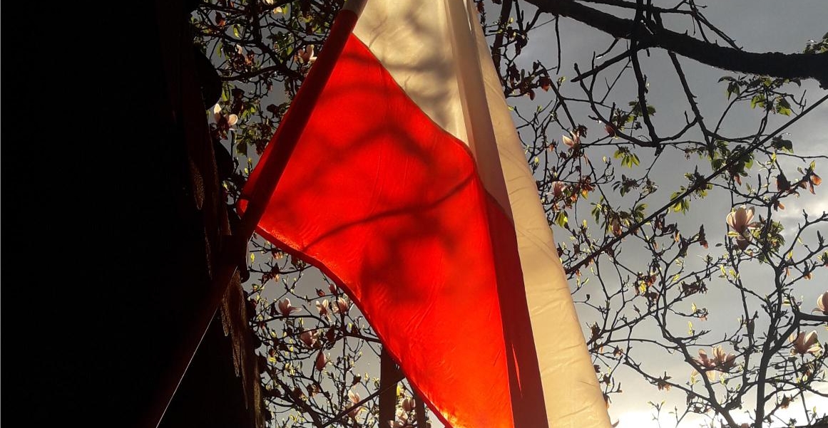 Uczniowie z Zielonki wywiesili flagę