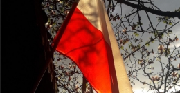 Uczniowie z Zielonki wywiesili flagę